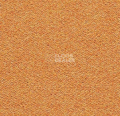 Ковровая плитка Forbo Tessera Chroma 3623 Tangerine фото 1 | FLOORDEALER